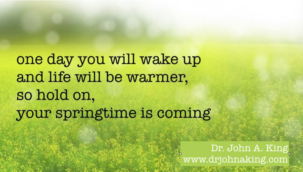 Springtime #drjohnaking #poetry