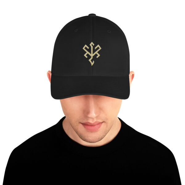 Phoenix Collective Sigil Structured Twill Cap - Image 2